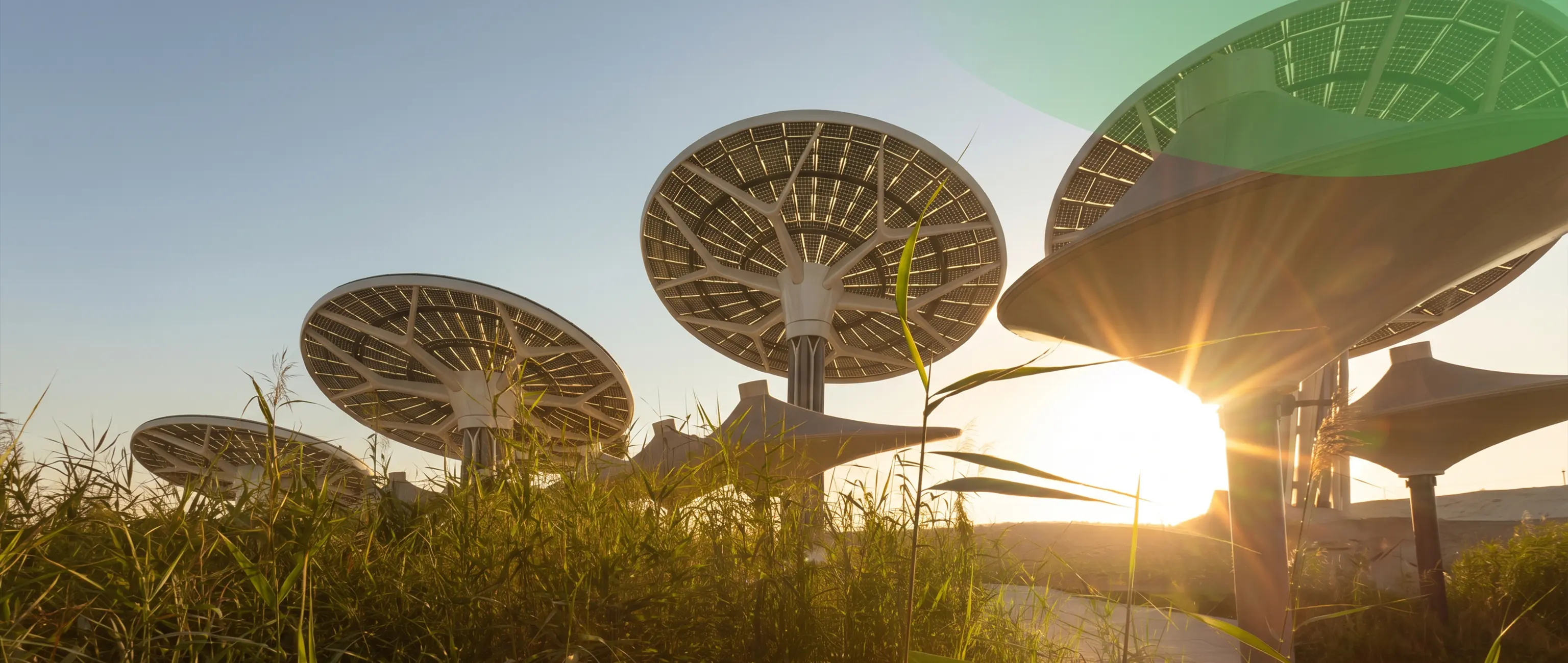 Innovative tree-shaped solar panels capturing sunlight, representing eco-friendly green investments and the Sustainable Sukuk program by National Bonds.